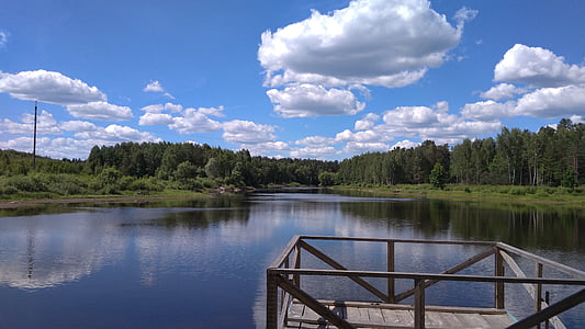 ліс, озеро, Природа, краєвид, Росія, літо, на озері