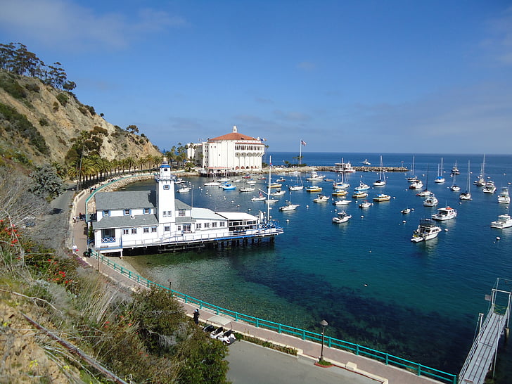 Catalina, California, Bay, tenger, kikötő, tengeri hajó, tengerpart