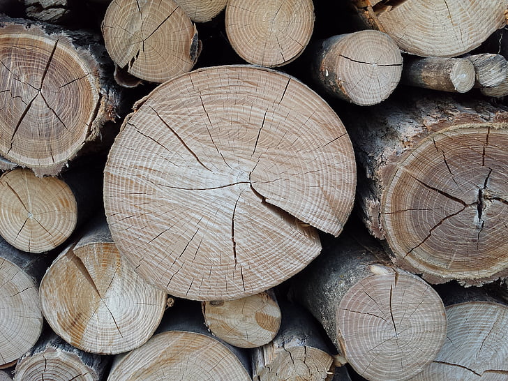 lesa, dreves, rezbaril, prtljažnik, Les - material, drevo, materiala