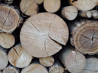 kayu, pohon, woodcutter, batang, kayu - bahan, pohon, bahan