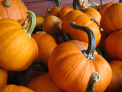 pumpkins, fresh, orange, agriculture, farmer's market, harvest, decoration
