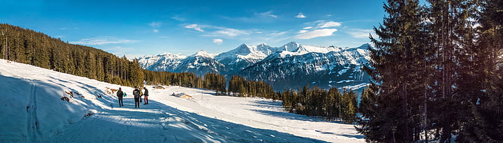 Панорама, Зима, горы, лес, снег, Швейцария, Беатенберг