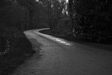 bend, black-and-white, curve, dark, forest, path, trees