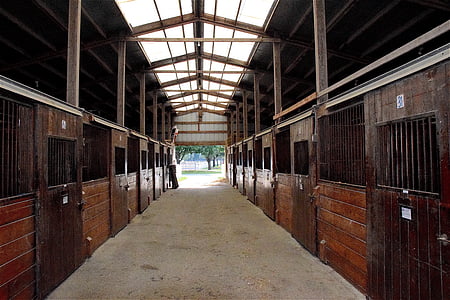 stable, horse, rural, farm, ranch, equine, equestrian