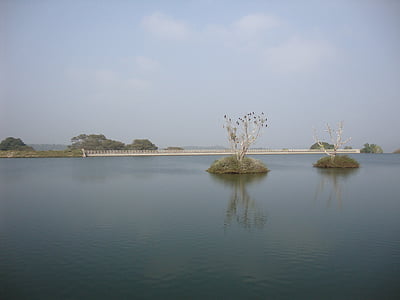 Moyar přehrada, kormoráni, roosting ptáci, Příroda, jezero, řeka