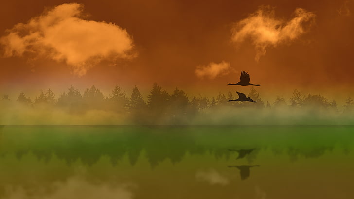 landskap, vatten, naturen, atmosfäriska, Crane, fåglar, solnedgång
