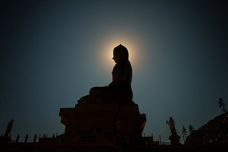 estàtua, Buda, llum, fosc, nit, cel, pedra