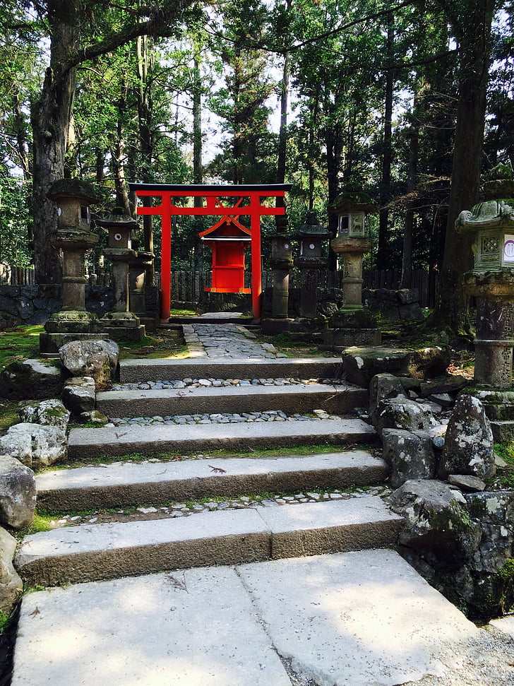shrine, torii, road