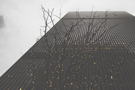 cadena, luces, árbol, frente, edificio, ciudad, nube