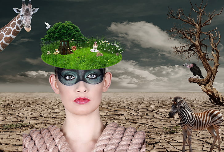 woman, desert, tree thoughtless, presentation, idea, clouds, fantasy