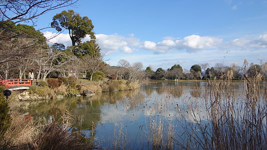 Японски, Градина, Киото, дърво, природата, отражение, езеро