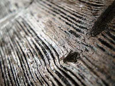legno, primo piano, esposto all'aria, vecchio, Priorità bassa, trama, marrone