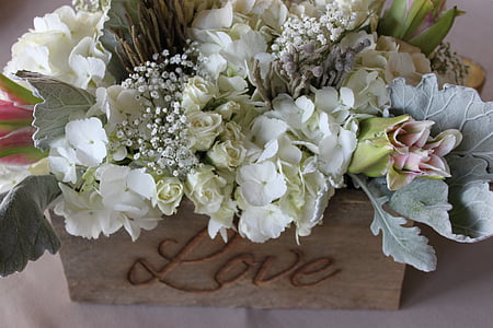 λουλούδια, τριαντάφυλλο, ημέρα του Αγίου Βαλεντίνου, Ρομαντικές αποδράσεις, λευκό, πέταλα, floral
