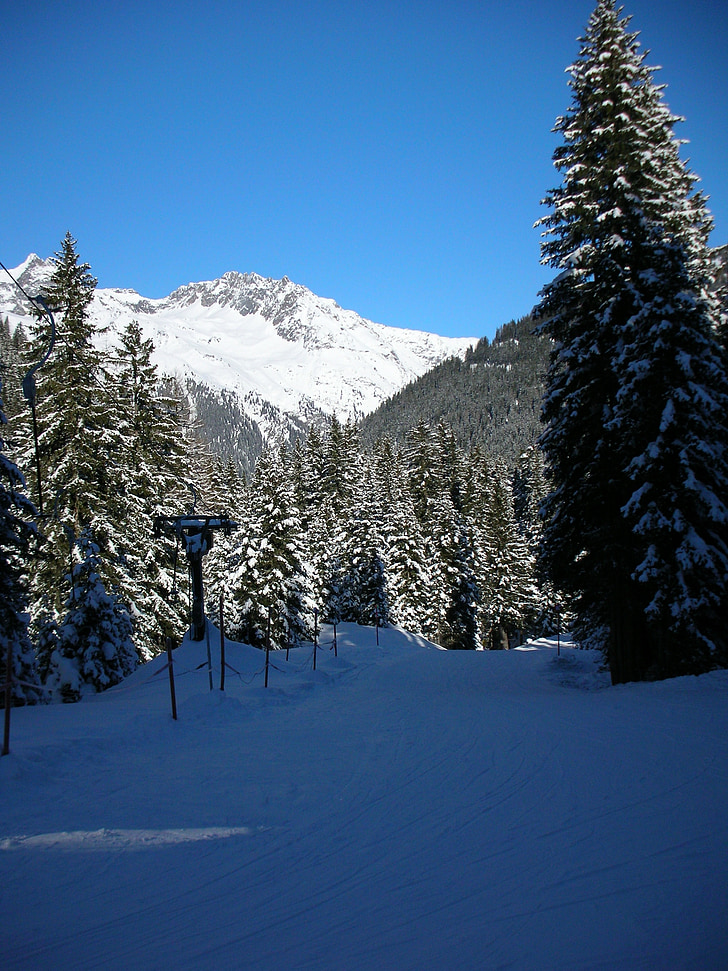ski, faire du ski dans l’arrière-pays, sports d’hiver, sport, ski, reste, neigeux
