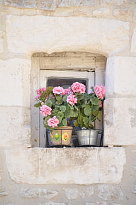 vinduet, hauswand, blomster, gamle vinduet, vinduskarmen, blomst, arkitektur