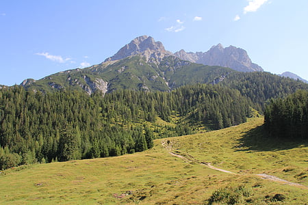 montanhas, Alm, Alpina, Áustria, Prado, Panorama, paisagem montanhosa