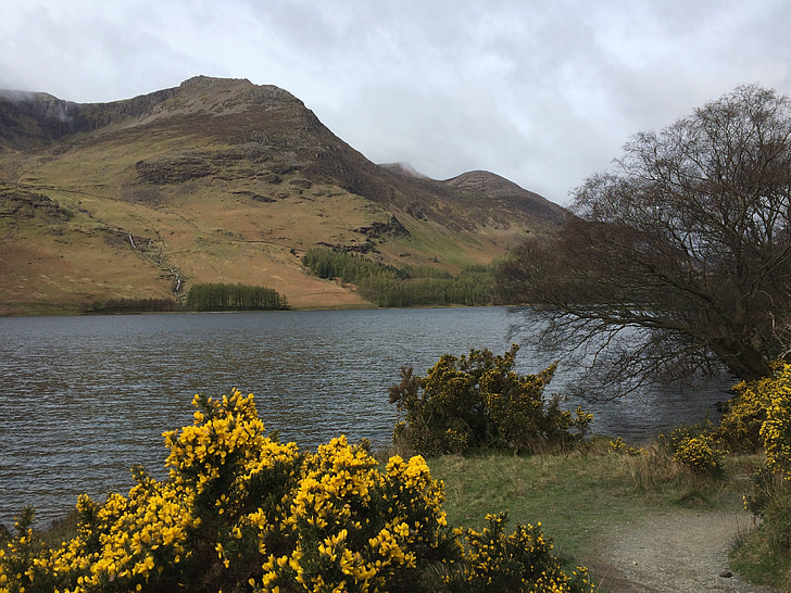 Lake district, Lac, Buttermere, l’Angleterre, paysage, Cumbria, nature