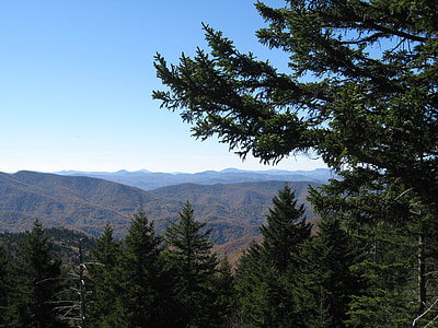 Blue ridge parkway, Blue ridge mountains, mäed, sügisel, maastik, igihaljas, metsa