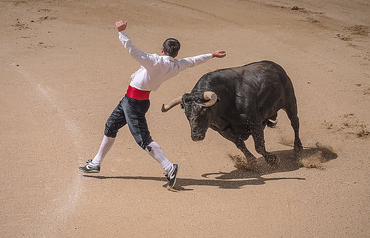 trimmere, Torero, bullfighters, salg, Madrid, tyre, Spanien