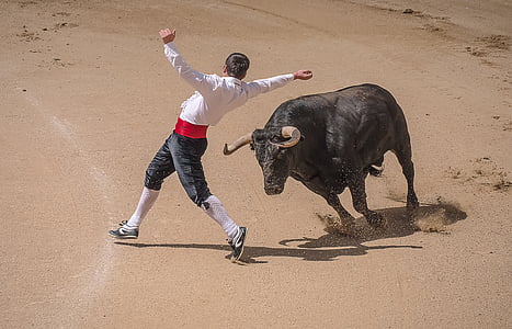 トリマー, torero, 闘牛, 売り上げ高, マドリード, ブルズ, スペイン