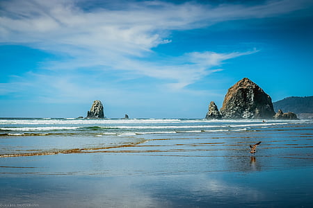 Beach, Oregon, homok, óceán, csendes-óceáni, tenger, természet