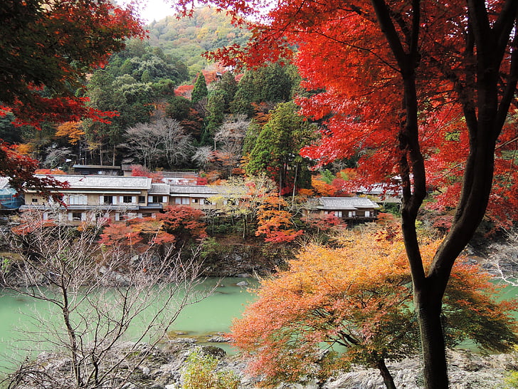 lanshan, sagano, maple leaf, river, autumn