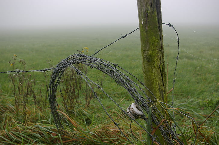 barbed wire, pole, rot, hollow, board, meadow, landscape