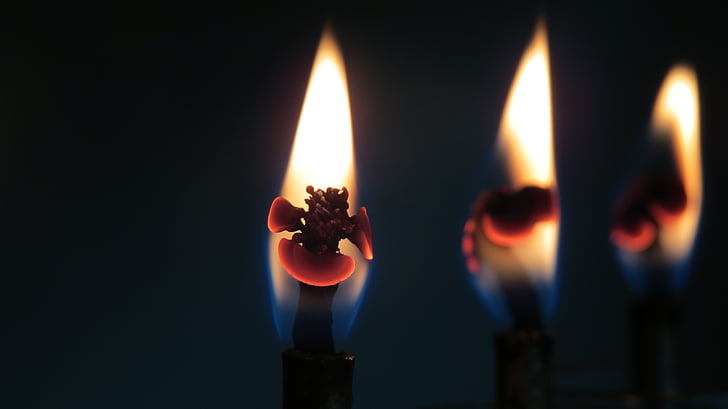 Kerzen, Feuer, Licht, Flamme, Feuer - natürliches Phänomen, Brennen, Hitze - Temperatur