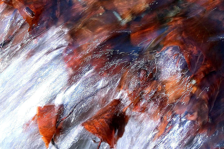 leaves, red, water, stream, creek, landscapes, nature