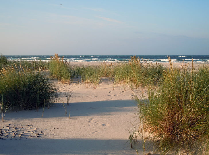 Dune, sabbia, spiaggia, mare, Mar Baltico, mare del Nord