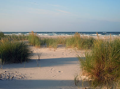 Dunes, Sand, stranden, havet, Östersjön, Nordsjön