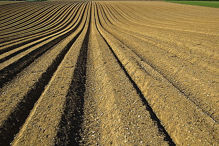 upraw, bruzdy, gleby, Nasiona, Przygotowanie, przygotowany, maszyny zniwne