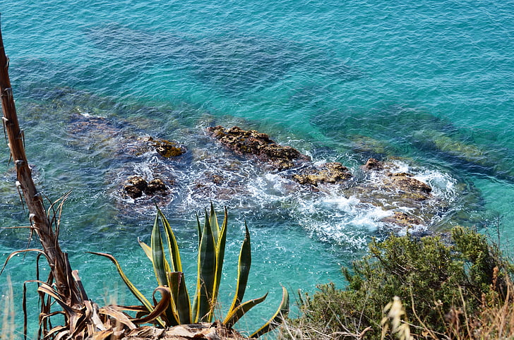 agave, sea, stones, coast, rock, blue, nature