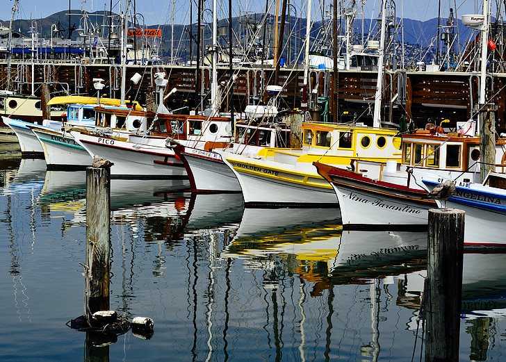 San, Francisco, Jachty, żagiel, łodzie, Marina, Kalifornia