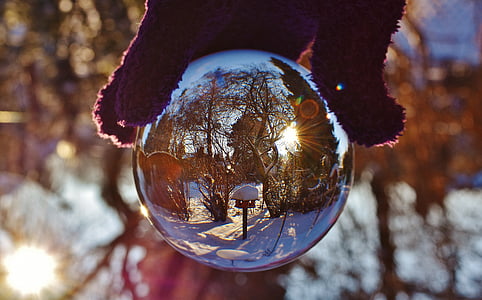 stiklo kamuolys, atvaizdavimas, skaidri, medžiai, sodas, stiklo, kamuolys