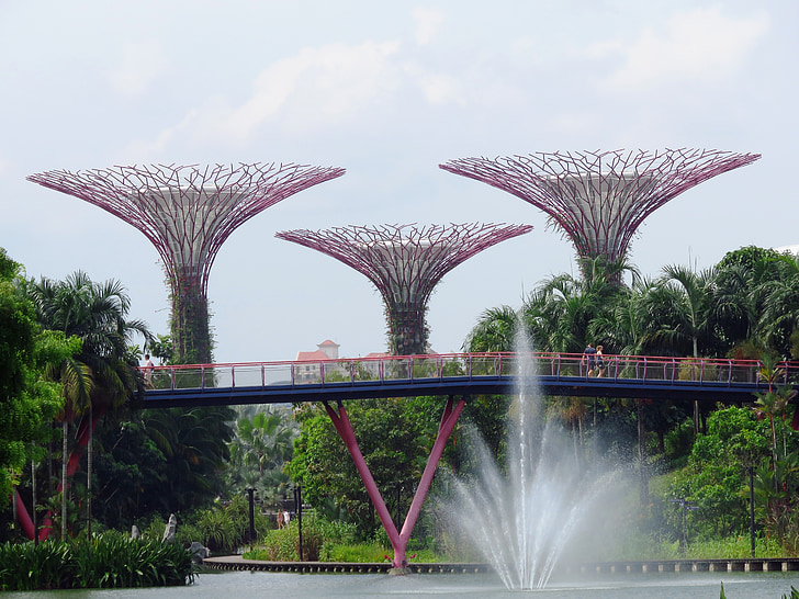 Singapore, trädgård i viken, Marina, turism, trädgård, Asia