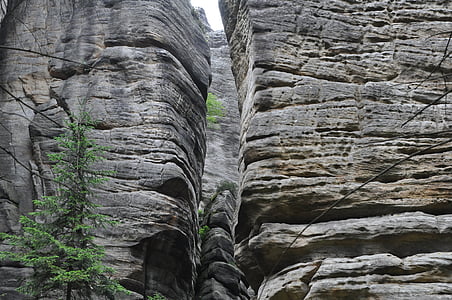 岩, 砂岩, 自然, チェコ共和国