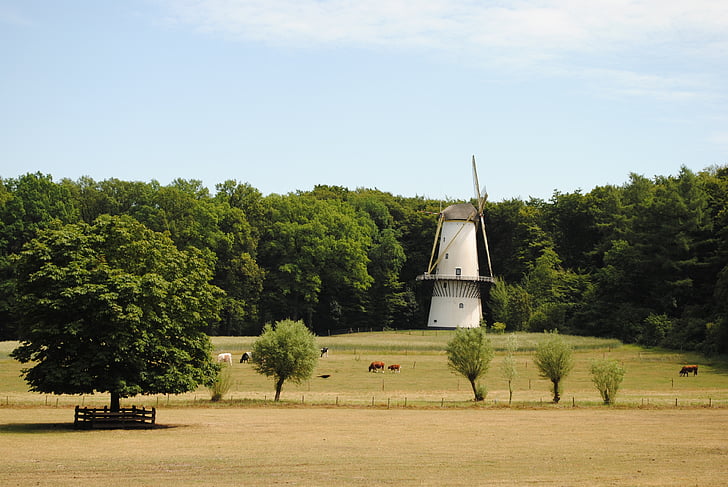 mill, landscape, netherlands, historic mill, historical, holland