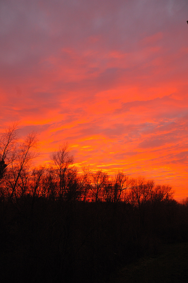 západ slnka, stromy, večer, Sky, červená, Orange, oblaky