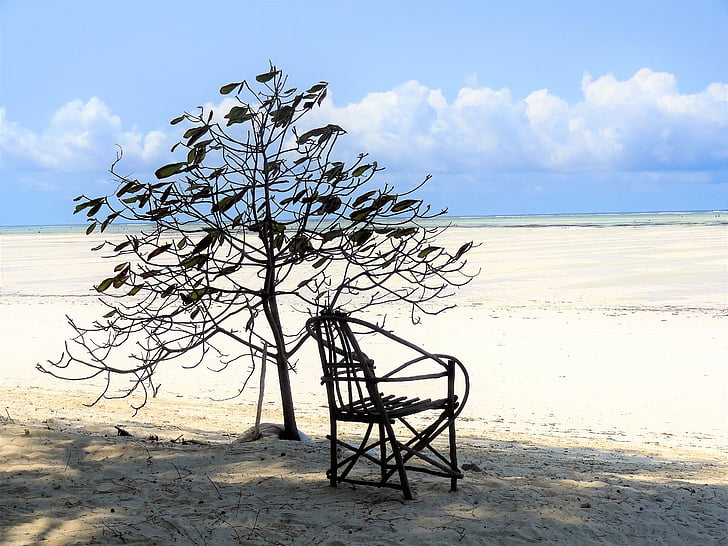 stranden, sjøen, stol, treet, atmosfære, sand, himmelen
