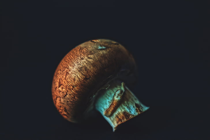 Detailní pohled, jídlo, houby, detail