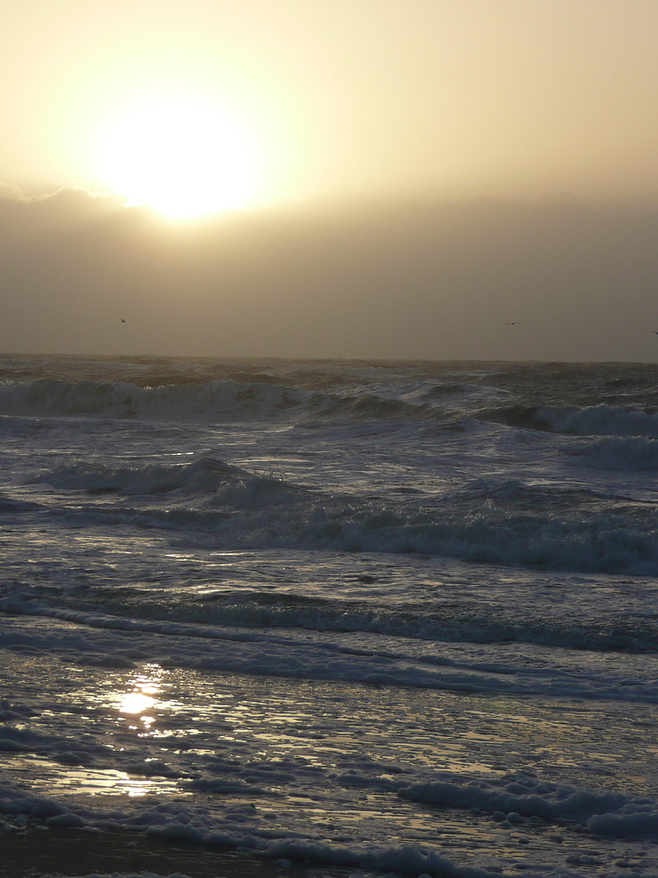 more, Sylt, západ slnka, pobrežie, Severné more, Príroda, večer