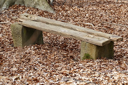 bank, forest, nature, old, bench, loneliness, bank seat