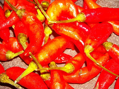 chili, punane, Lombok, Vürtsikas, taimne, toidu, Spice
