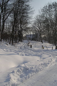 sneeuw, manier, winter, sporen, Cottage, boom, landschap