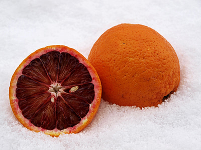 arancia sanguigna, agrumi, arancio, neve, inverno, freddo, magia della neve