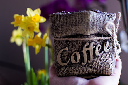 coffee, night, grain, mug, dream, caffeine, teacup