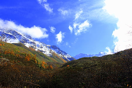 gul dragen, Jiuzhaigou, veien, reise