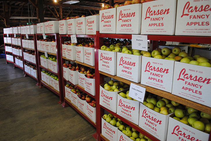 æbler, frugt, lager, mad, Apple laden, Californien