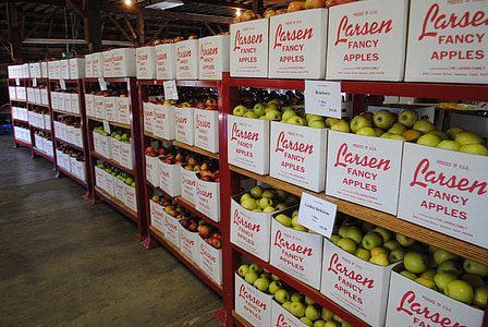 mele, frutta, magazzino, cibo, Granaio di Apple, California